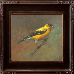 Goldfinch