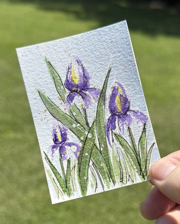 ACEO #074 Watercolor Three Iris Flowers With Leaves, Hand Painted, Original