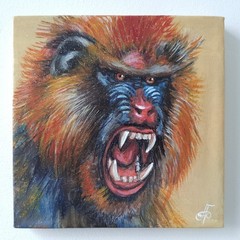 Original Acrylic Painting Colorful Mandrill Monkey Portrait Small Hand Painted