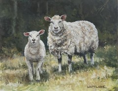 Original New Barnyard Oil Impressionist Realist Sheep Two Of A kind Canvas Board