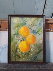 art 354 original painting 40×30 cm ZP oil on canvas orange still life