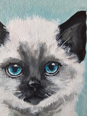 Siamese Cat Painting Pet Original Art Framed 7 x5 Cat Blue Eyes Oil Painting