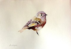 Sparrow, Bird, Watercolor artwork, Handmade, Original painting on paper
