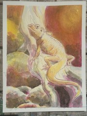 Watercolor Painting 9×12 Signed Original by Tiffany Chesser of Bearded Dragon