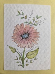 ACEO Original Floral Watercolor Art Peach Daisy Flower Painting OOAK 2.5×3.5