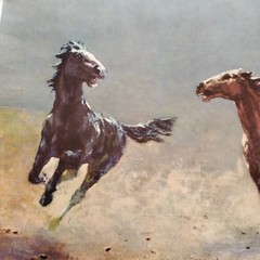 Free As The Wind Horses Litho Print Poster By Albo 16×20″