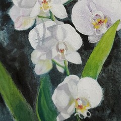 YARY DLUHOS Orchid Flowers Still Life Floral Garden Original Art Oil Painting