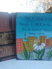 George Carlin Quote Painting, 10 x 10 wood panel – Inspirational Saying Sign