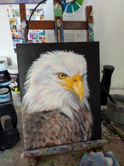 Original Western 14 x 11 American Bald Eagle Acrylic Canvas Painting