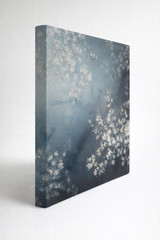 art 708 original oil painting 100×100 cm White Blossoms Stil life floristic