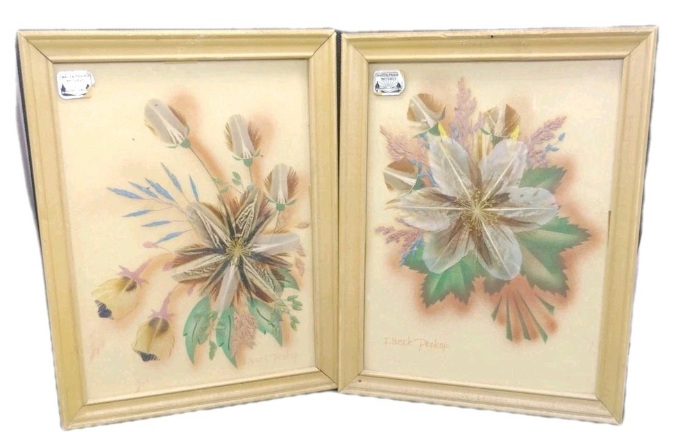 Ida Bisek Prokop (Lot Of 2) Handmade Feather Flower Craft Dakota Prairie Framed