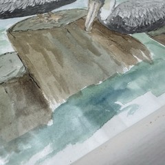 Watercolor Art Pelican Framed Signed 15×13 Original Artist Beach Cottage Decor
