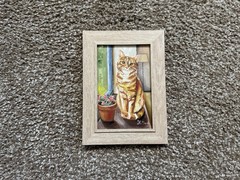 ORIGINAL OIL PAINTING ORANGE TABBY CAT PORTRAIT SIGNED FRAMED 4×6
