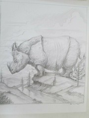 Scott Musgrove lowbrow original Rhino drawing