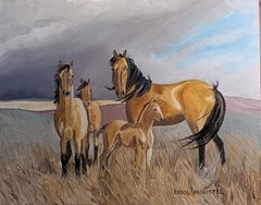 Original oil western horse mustang wildlife Kreiger desert Carol Proebstel