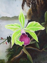 Vintage Signed Dowling Painting Orchid Tropical Orchid Bird after Martin Heade