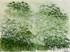 Contemporary Minimalist Abstract Watercolor Rainforest Art on 12×9 Paper