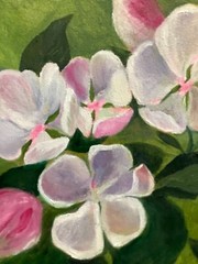 Apple Tree Blooming Spring Floral Original Painting Oil 20.5×20.5cm On eBay