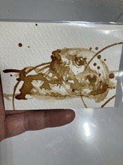 Coffee Aceo Original Sea Otter Painting Ocean Miniature Realism ATC Art Gift