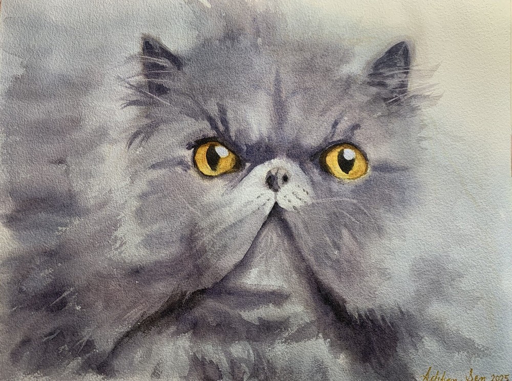Gray Persian Cat painting Made to order Original watercolor cute pet portrait