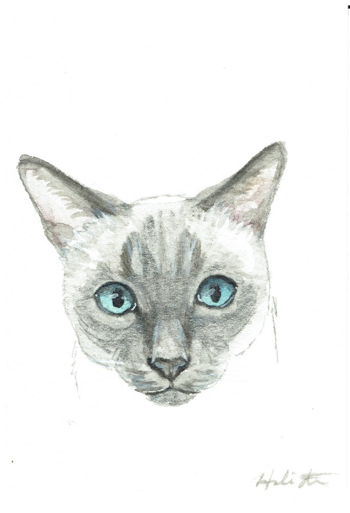 ACEO Original Watercolor Painting 2.5″ x3.5″ Siamese Kitty Cat Pet Portrait