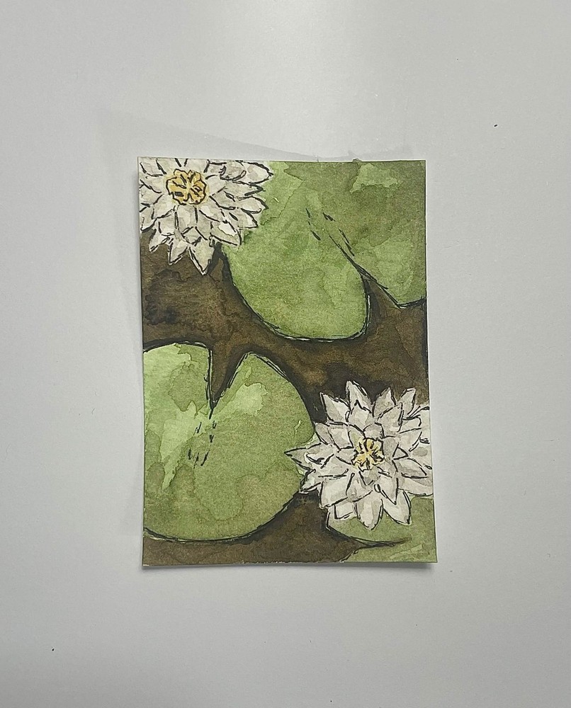 ACEO (Original), Watercolor Lily Pads by Isa