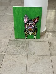FRENCHIE