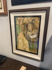 Lion Watercolor Painting Framed and Matted Signed by Artist