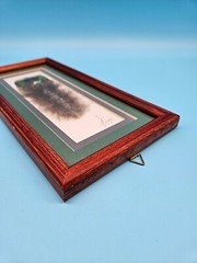 Hand Painted Feather Humming Bird Framed Signed By Artist Bird Decor Unique