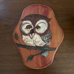Hand painted Owl On Wood Wall Art Sleepy Owl Folk Art Signed Kitsch 60s Bird Vtg