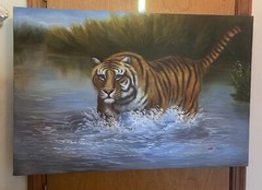 MAJESTIC BENGAL TIGER IN WATER PAINTING ART ON CANVAS BY M. AARON. 36″ X 24″