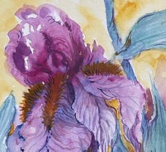 5”x10” Original Pamela Wilhelm Watercolor Flamboyant Fantasy Iris Flower