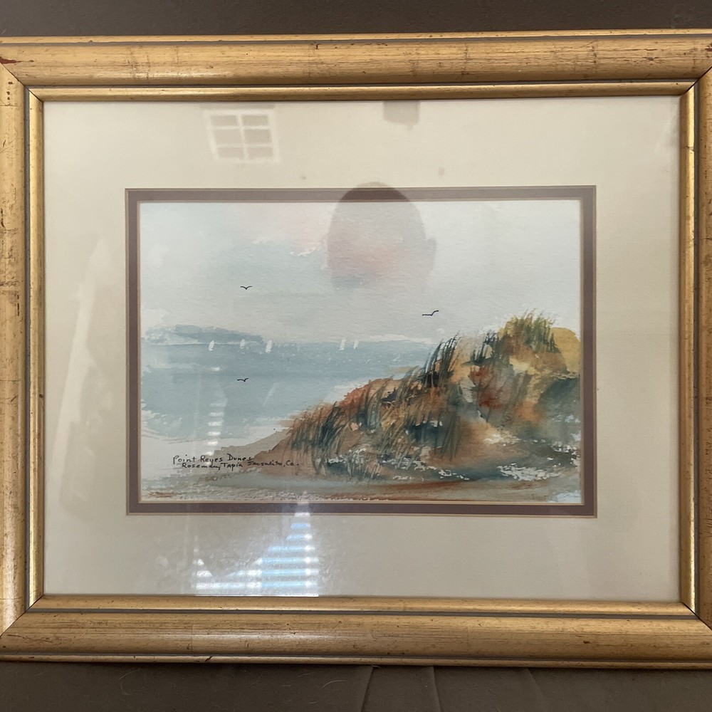 Rosemary Tapia Orig. Watercolor Painting Of Point Reyes Dunes