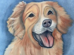 Original oil painting 11 x 14 inches happy golden retriever dog