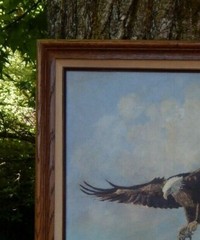 Eagle in Flight Feeding Her Young, Magnificent Original Oil, Ginger Davis. MINT