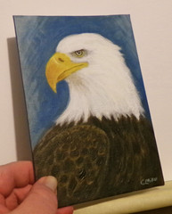 Original Painting American Bald Eagle 5×7 Rustic Bird Wall Art Modern Decor