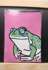 Aceo Original Acrylic Marker Dumpy Frog #3/5 by Critter Creatives-Glittery