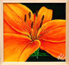 OOAK 2024 Painting TIGER LILY 12″x12″ Acrylic on Stretched Canvas Framed Signed
