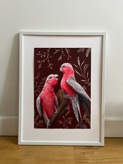 Original oil painting parrots, flowers 21 * 30 cm , OOAK , Hand painting
