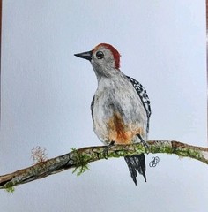Daily painting Watercolor.