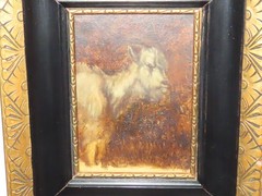 Painting animal portrait „goat“ goat! unsigned!