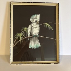 MCM Framed VTG Colorful Cockatoo Bird Painting Tropical Unsigned 14.75”x 11.75”