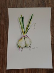 Watercolor original painting “still life“ green onions 11×14“