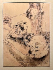 1974 Original Watercolor & Ink Australian Koala Bears Signed & Framed Painting