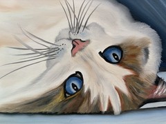 Original oil painting 11 x 14 inch beautiful white cat blue eyes- free shipping