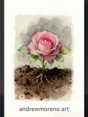 Original Watercolor Rose Painting Collection – 5×7 Collectors Size