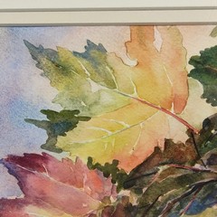 Original Watercolor Painting Nature Autumn Leaves Framed Signed Cynthia Moser