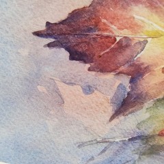 Original Watercolor Painting Nature Autumn Leaves Framed Signed Cynthia Moser