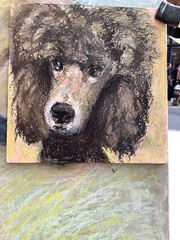 New York City Dog Poodle Oil Pastel Portrait Impressionist Art 6”x6”