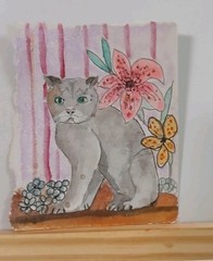 cat and lillies